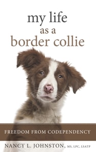 My Life As a Border Collie