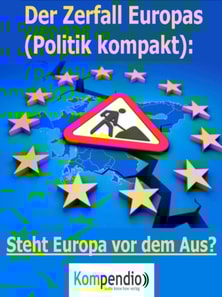 Der Zerfall Europas (Politik kompakt)