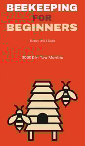Beekeeping for beginners: honey and hustle