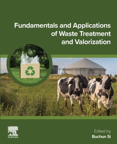 Fundamentals and Applications of Waste Treatment and Valorization