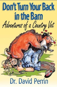 Don't Turn Your Back in the Barn - Adventures of a Country Vet