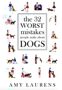 32 Worst Mistakes People Make About Dogs