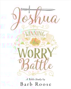 Joshua - Women's Bible Study Participant Workbook