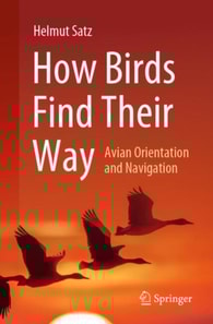 How Birds Find Their Way