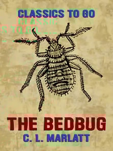 Bedbug