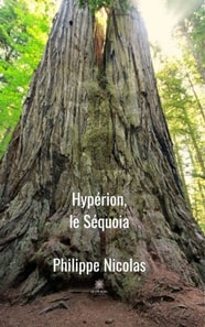Hyperion, le sequoia