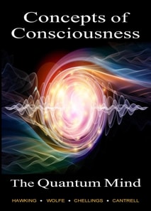 Quantum Mind, Concepts of Consciousness