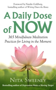 Daily Dose of Now: 365 Mindfulness Meditation Practices for Living in the Moment