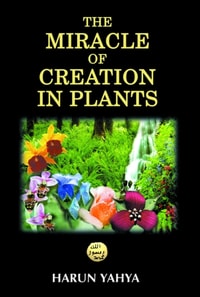 Miracle of Creation in Plants