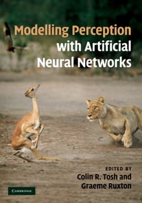 Modelling Perception with Artificial Neural Networks