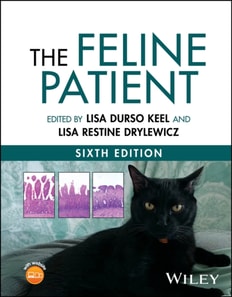 Feline Patient