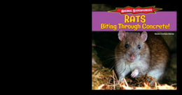 Rats: Biting Through Concrete!