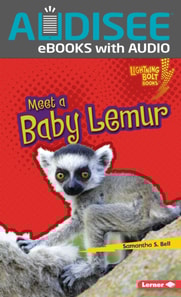 Meet a Baby Lemur
