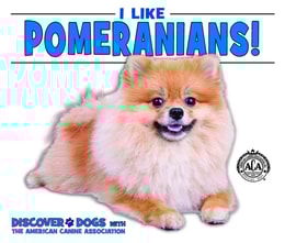 I Like Pomeranians!