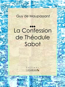La Confession de Théodule Sabot