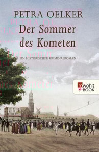 Der Sommer des Kometen