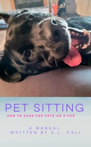 Pet Sitting: How To Care For Pets As A Pro