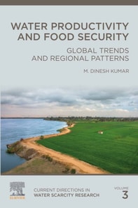 Water Productivity and Food Security