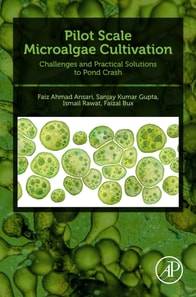 Pilot Scale Microalgae Cultivation