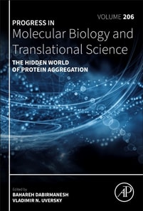 Hidden World of Protein Aggregation