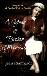 Year of Broken Promises (Book 2 - An Irish Family Saga)