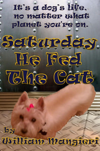 Saturday He Fed the Cat