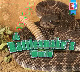 Rattlesnake's World
