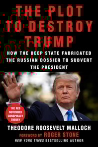 Plot to Destroy Trump