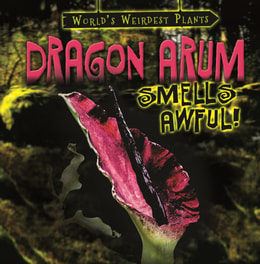Dragon Arum Smells Awful!