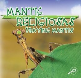 Mantis Religiosas