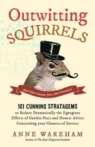 Outwitting Squirrels