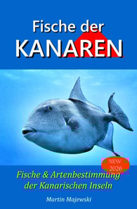 Fische der Kanarischen Inseln,  Fisch und Artenbestimmung der Kanaren