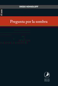 Pregunta por la sombra
