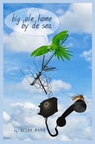 Big Ole Home By De Sea