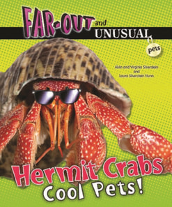 Hermit Crabs