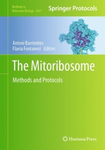Mitoribosome