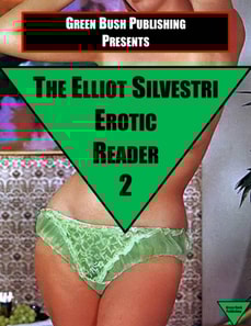 Elliot Silvestri Erotic Reader Volume 2