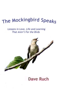 Mockingbird Speaks