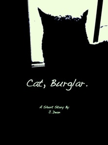 Cat, Burglar.