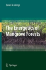 Energetics of Mangrove Forests