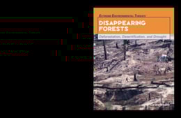 Disappearing Forests