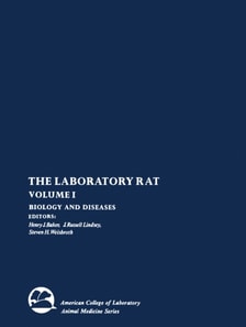 Laboratory Rat