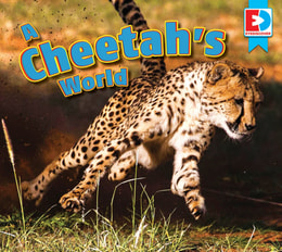 Cheetah's World