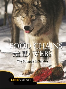 Food Chains and Webs