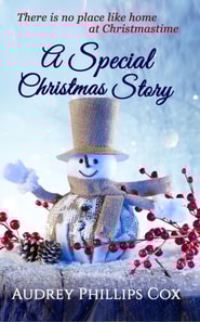 Special Christmas Story
