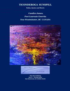 Ticonderoga Sunspill