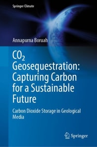 CO2 Geosequestration: Capturing Carbon for a Sustainable Future