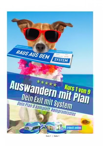 Richtig Auswandern - Dein Exit mit System Kurs 1/9