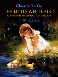 Little White Bird