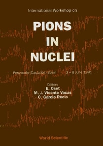 Pions In Nuclei - Proceedings Of The International Workshop